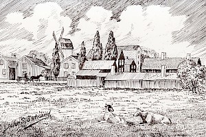 KLM_JN-foto21.jpg