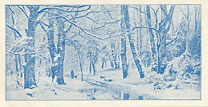 KLM_32738_208_sid3_DS_12040.jpg