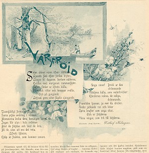 KLM_32965_sid425_DS_11552.jpg