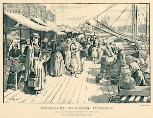 KLM_32986-4_sid56.jpg