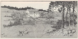 KLM_39252_26_sid6_DS_12239.jpg